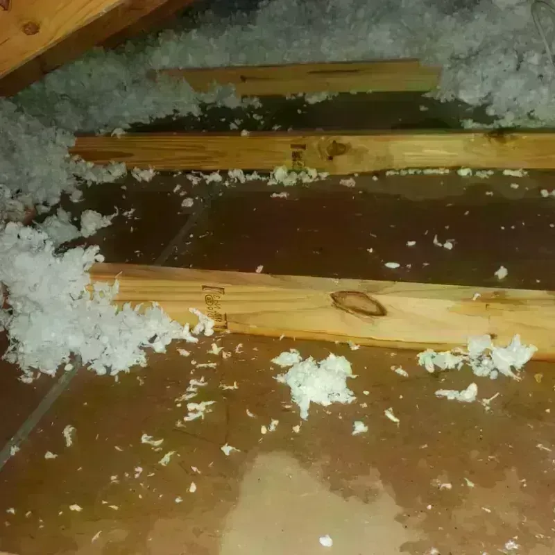 Attic Water Damage in Silverton, OR